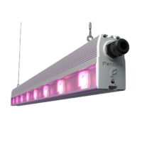 Pandora LED 615 E-150