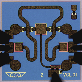 ML303