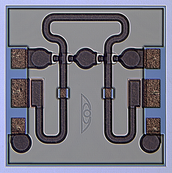 ML307