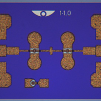 MSW202